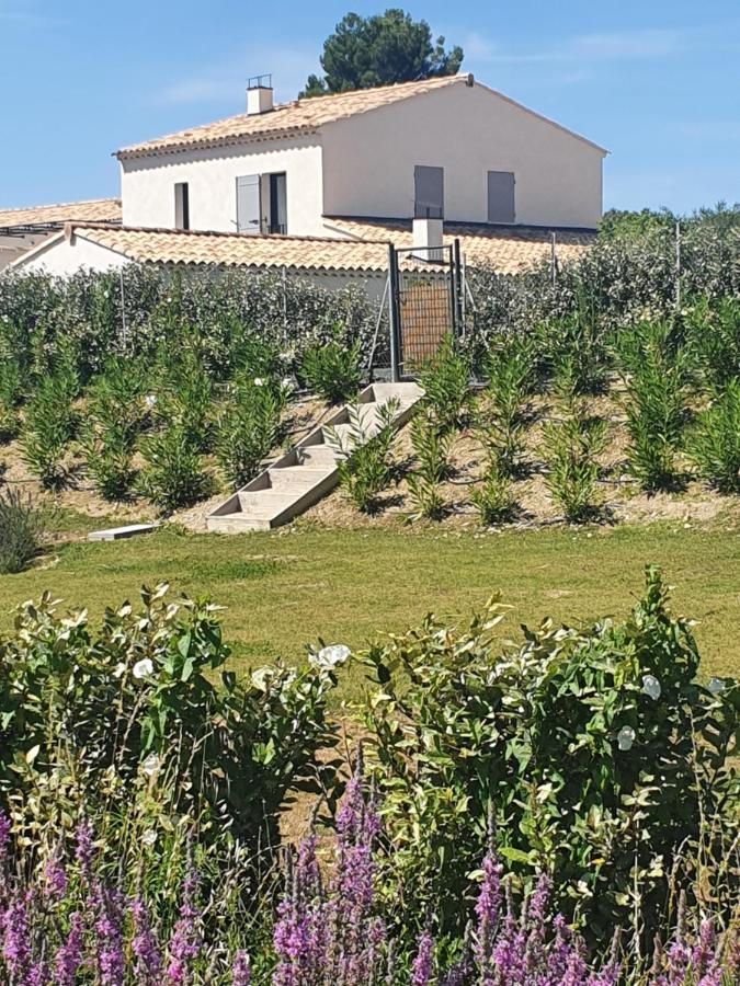 Onze Villa In Provence, Mont Ventoux, New Luxury Villa, Private Pool, Stunning Views, Outdoor Kitchen, Big Green Egg Malaucène 외부 사진