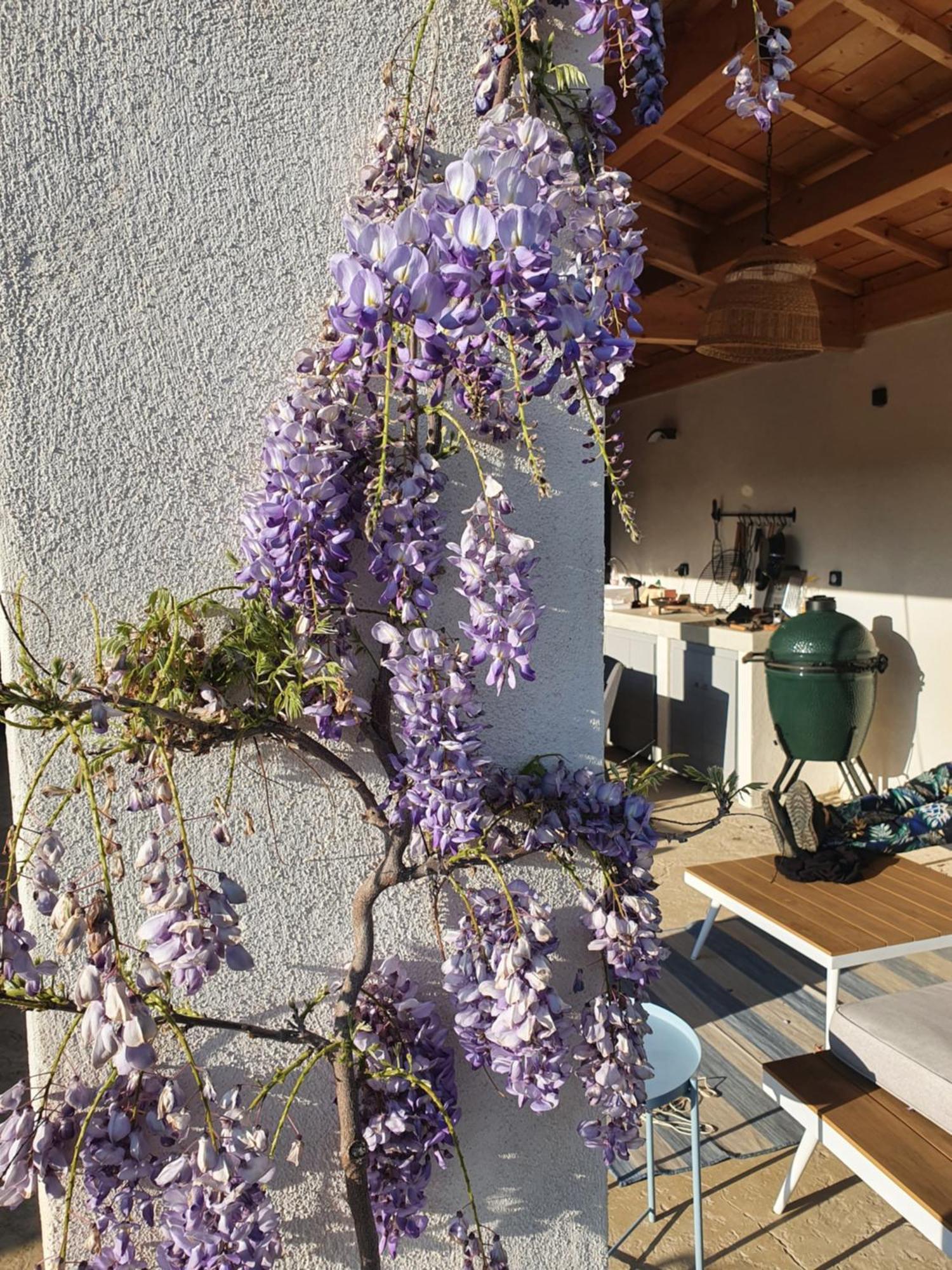 Onze Villa In Provence, Mont Ventoux, New Luxury Villa, Private Pool, Stunning Views, Outdoor Kitchen, Big Green Egg Malaucène 외부 사진